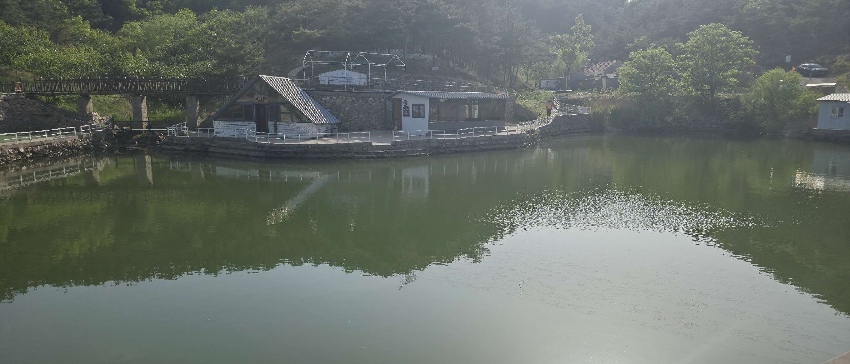找搭子