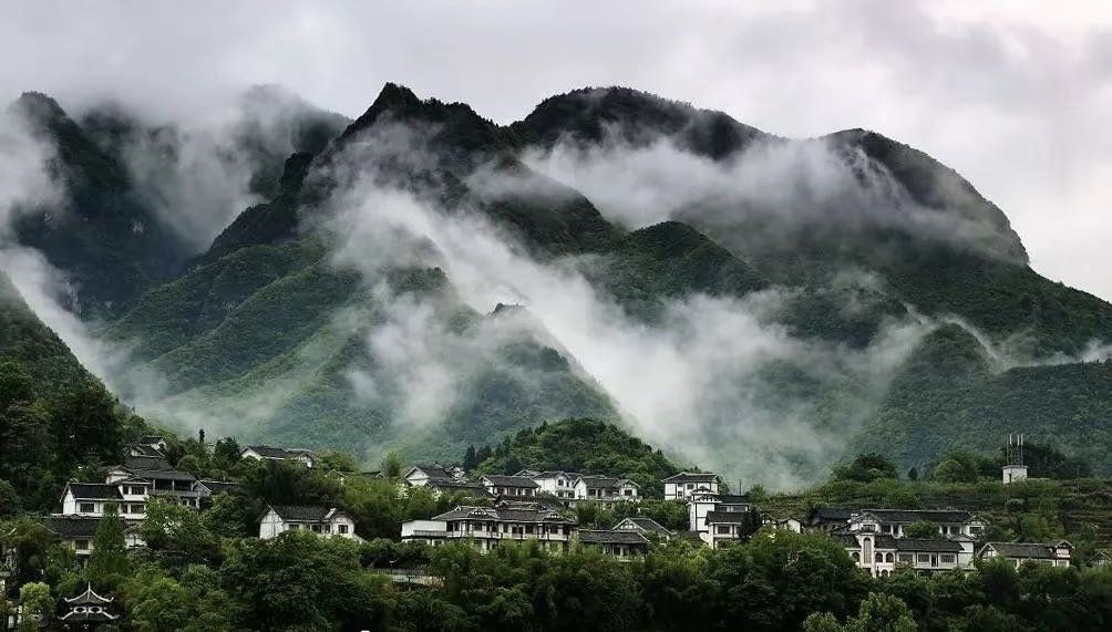 找搭子