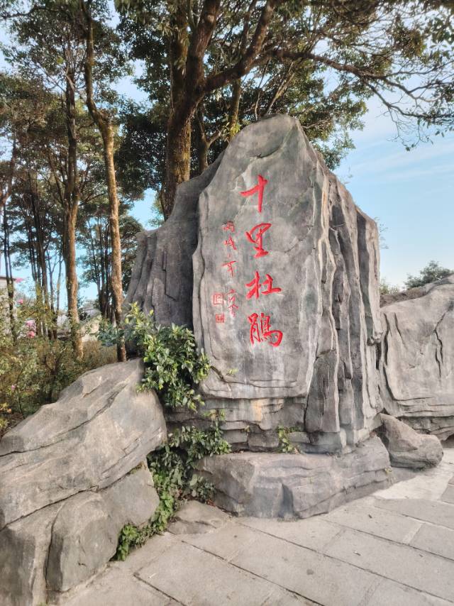 找搭子