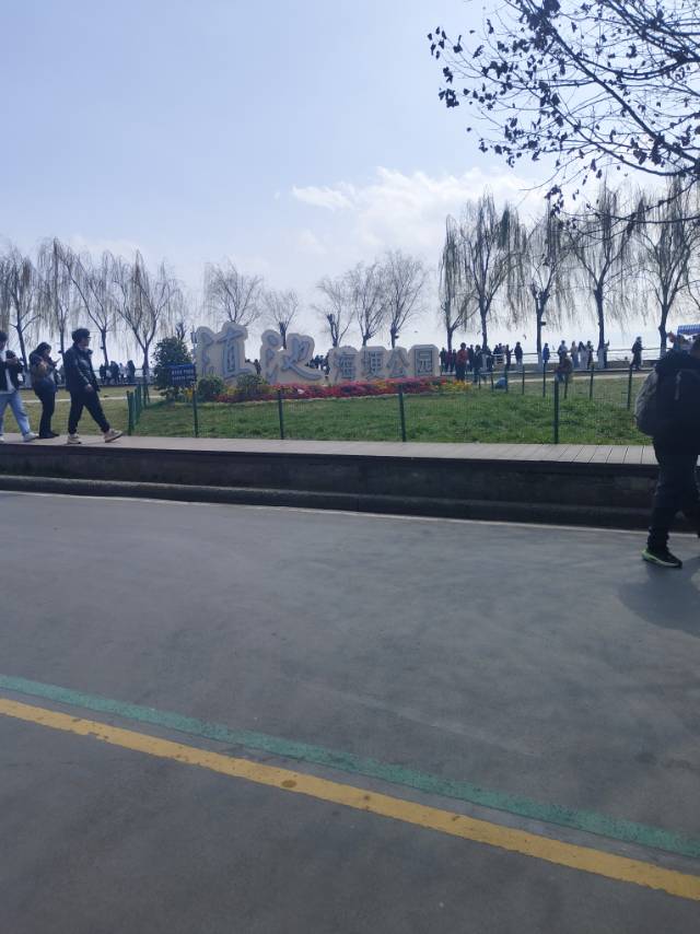 找搭子