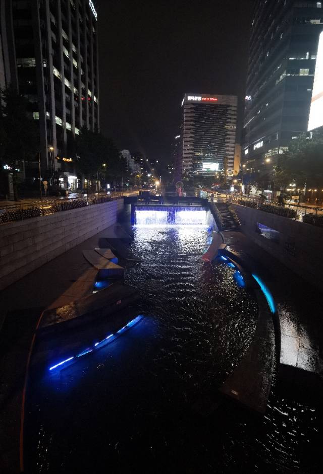 找搭子