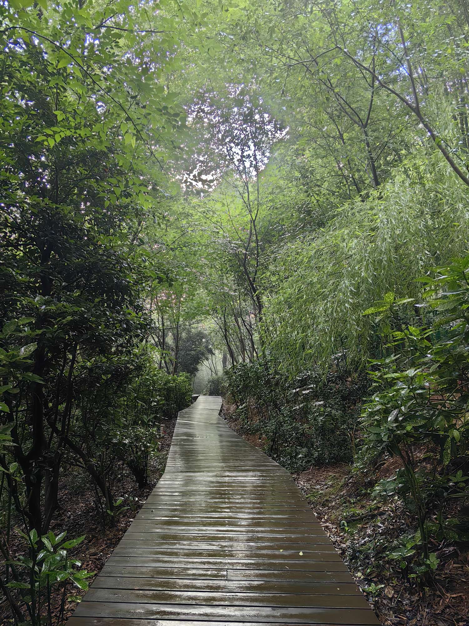 找搭子