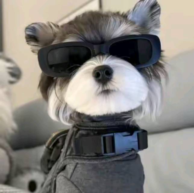 找搭子
