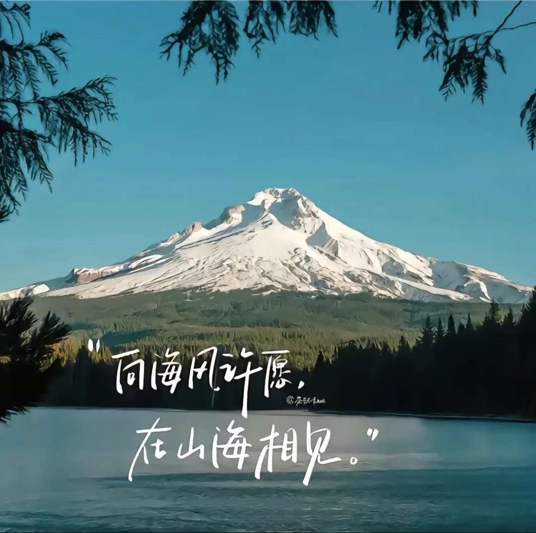 找搭子