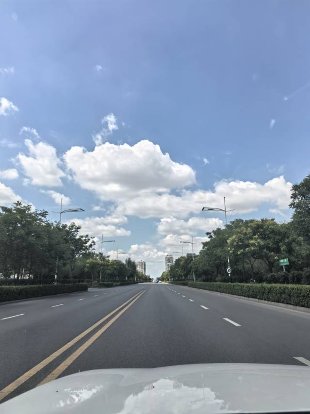 找搭子