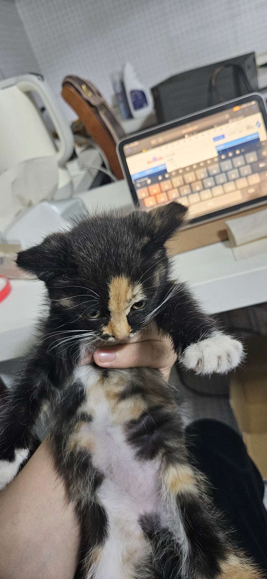 找搭子