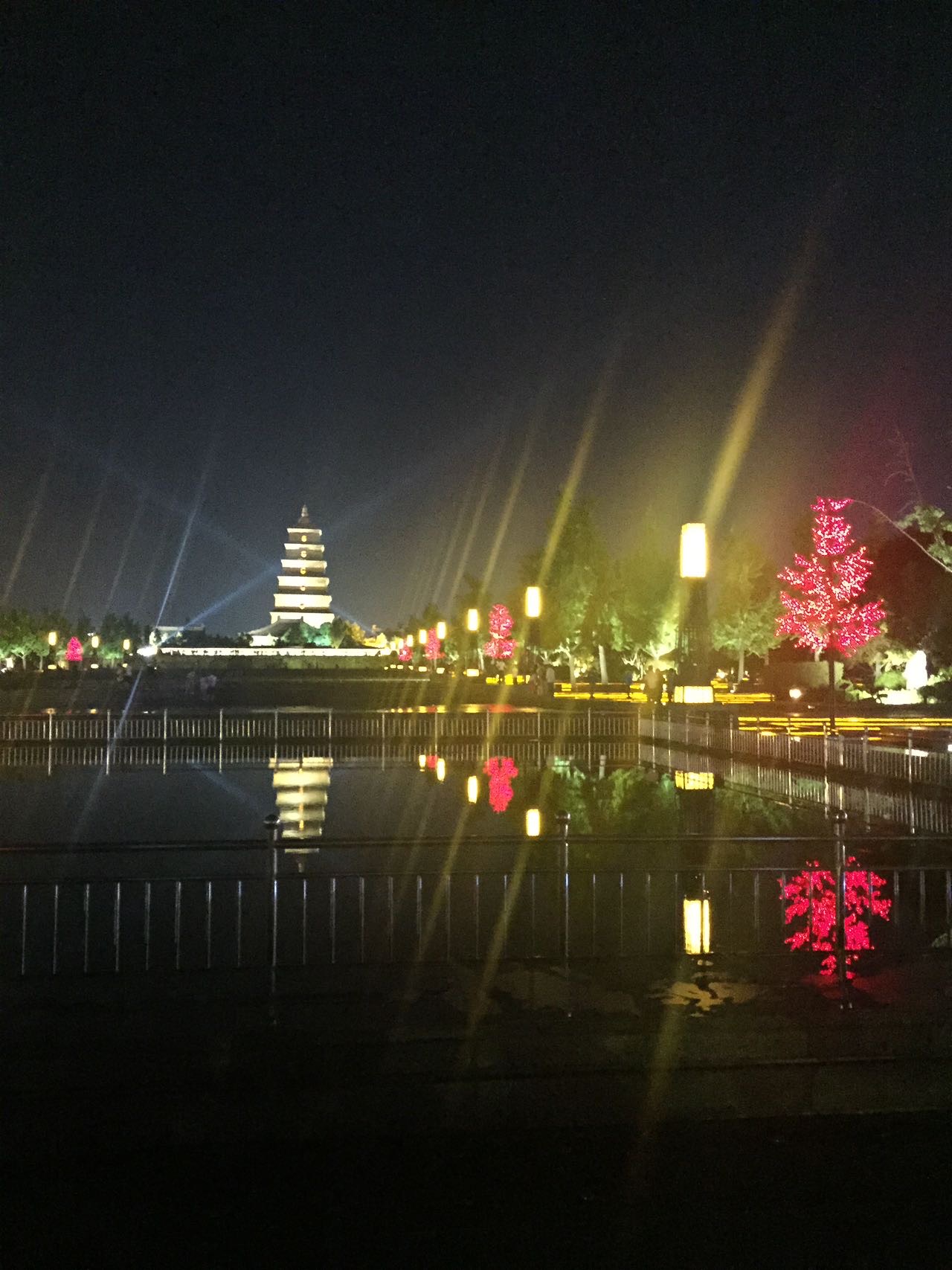 找搭子