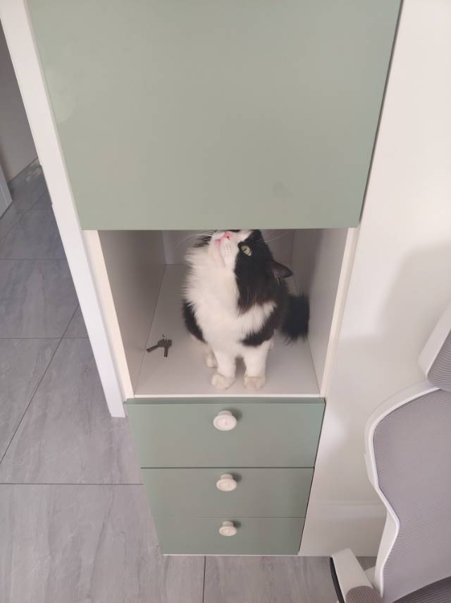 找搭子