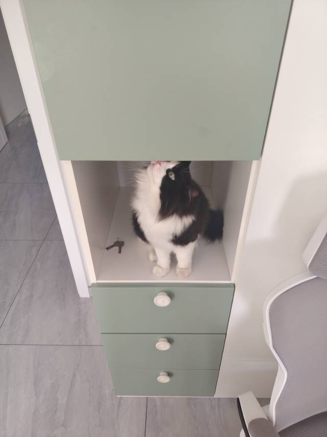 找搭子