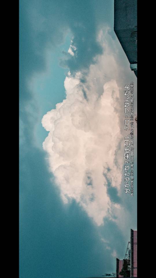 找搭子
