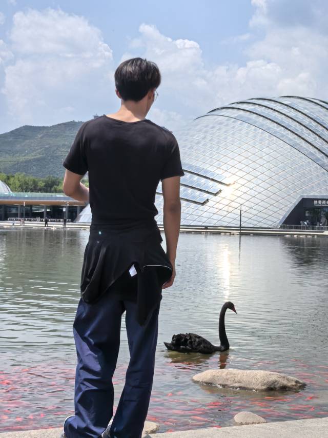 找搭子