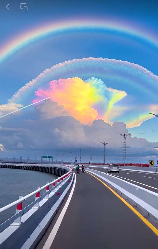 找搭子