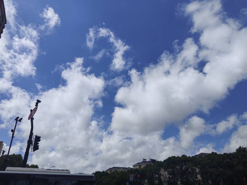 找搭子