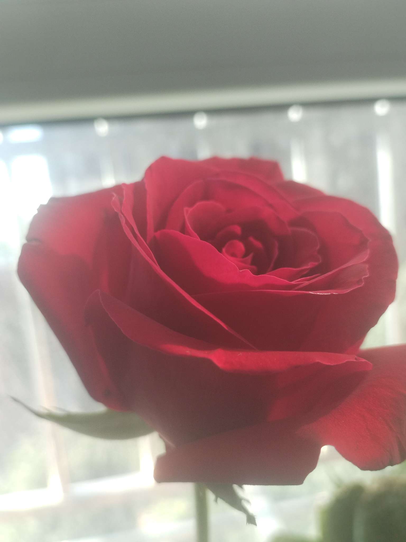 找搭子