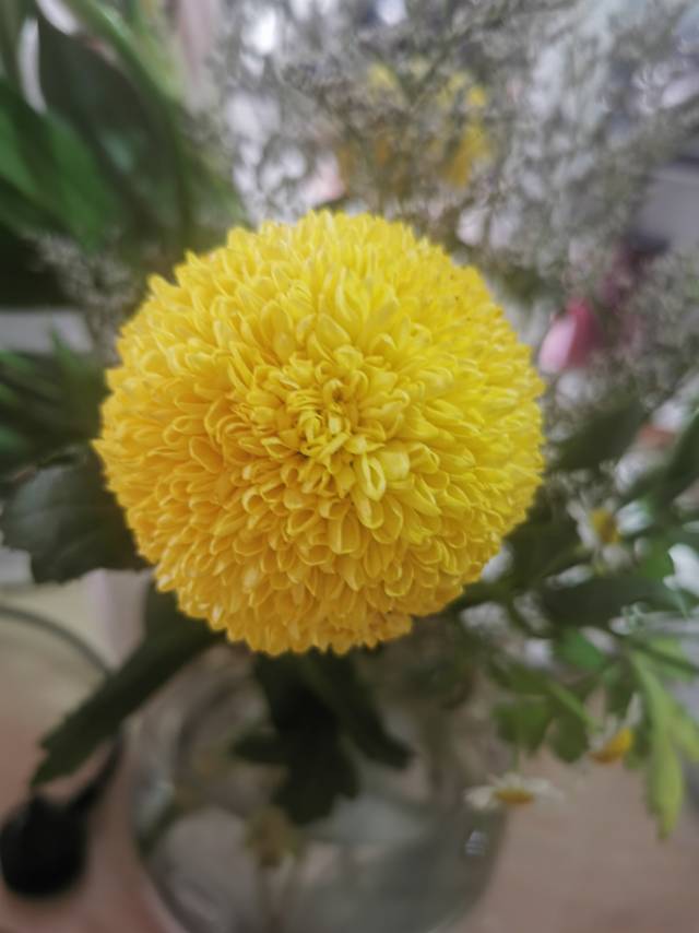 找搭子