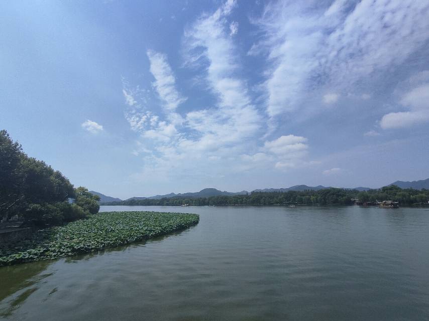 找搭子