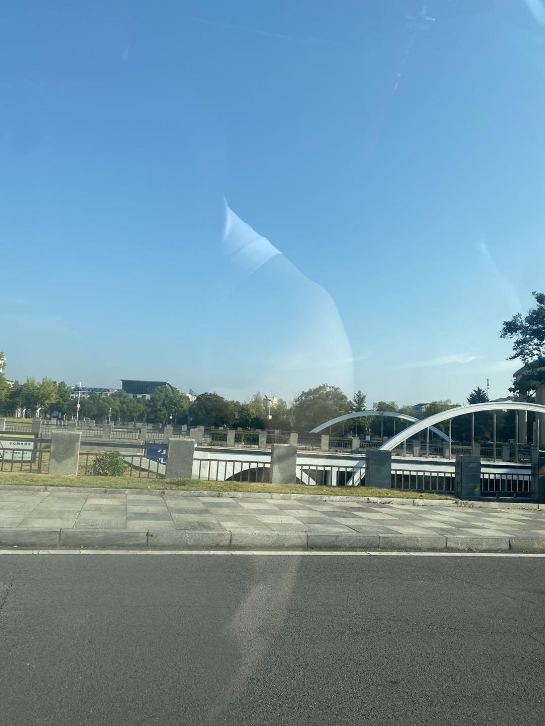 找搭子