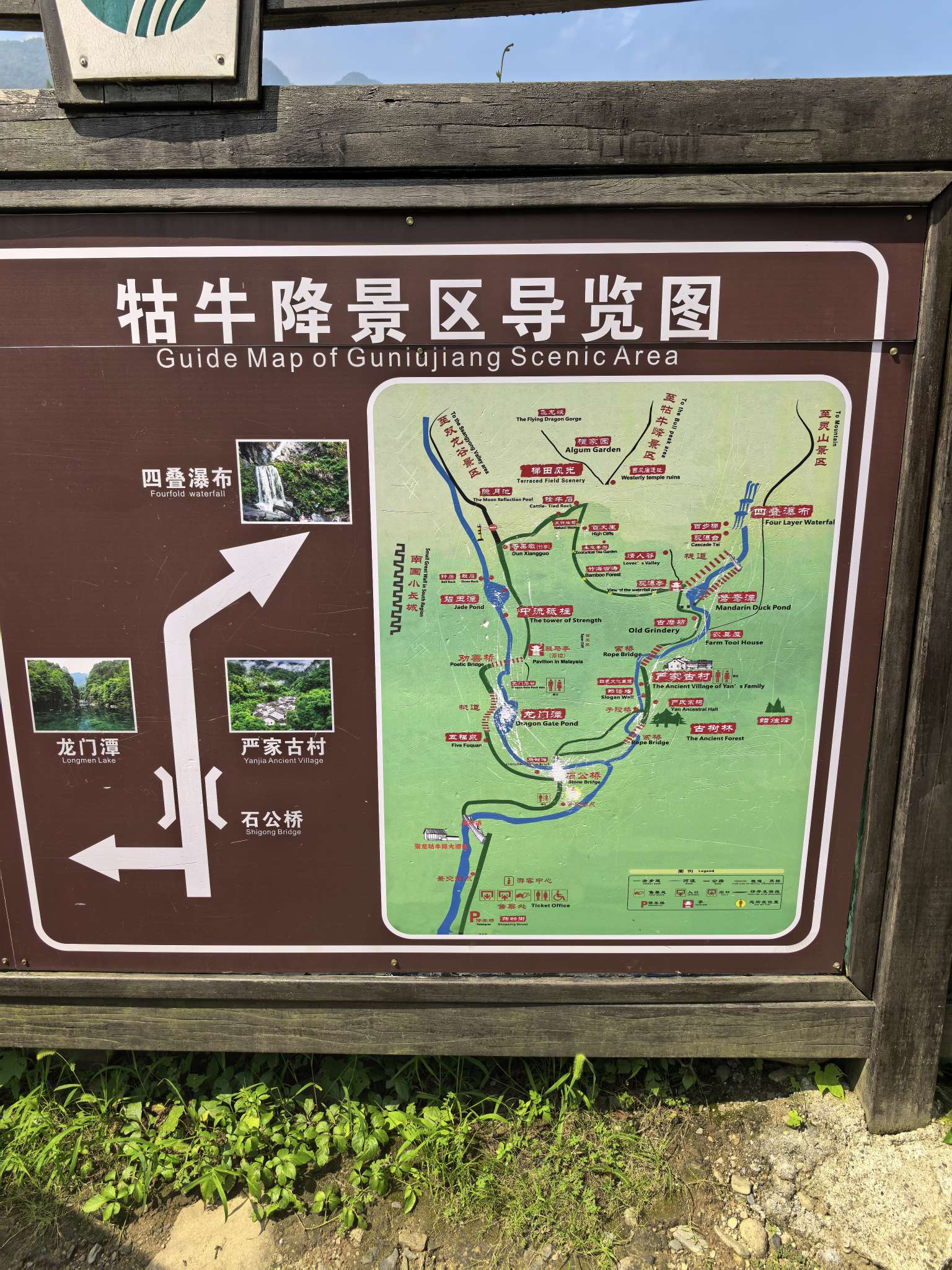 找搭子