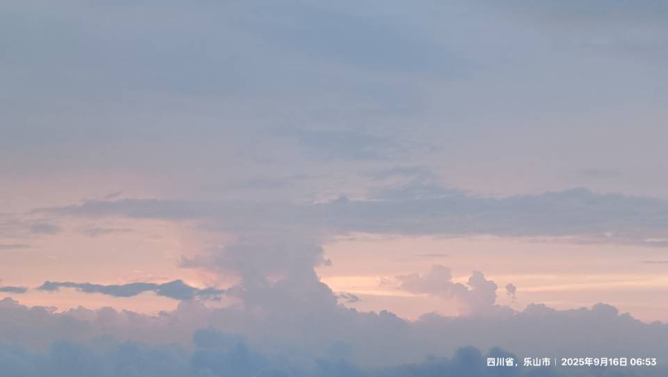 找搭子
