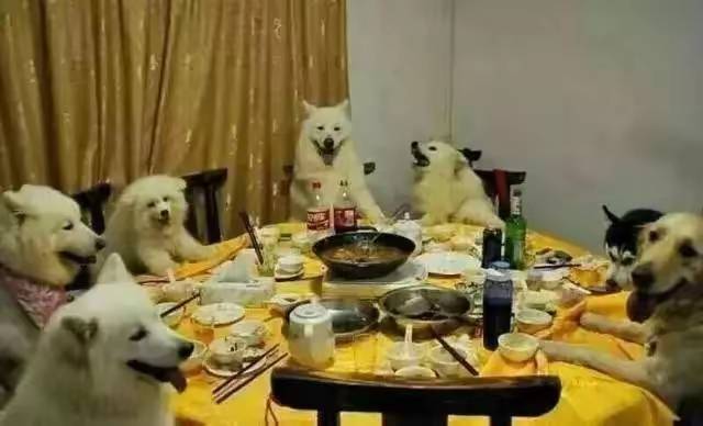 找搭子