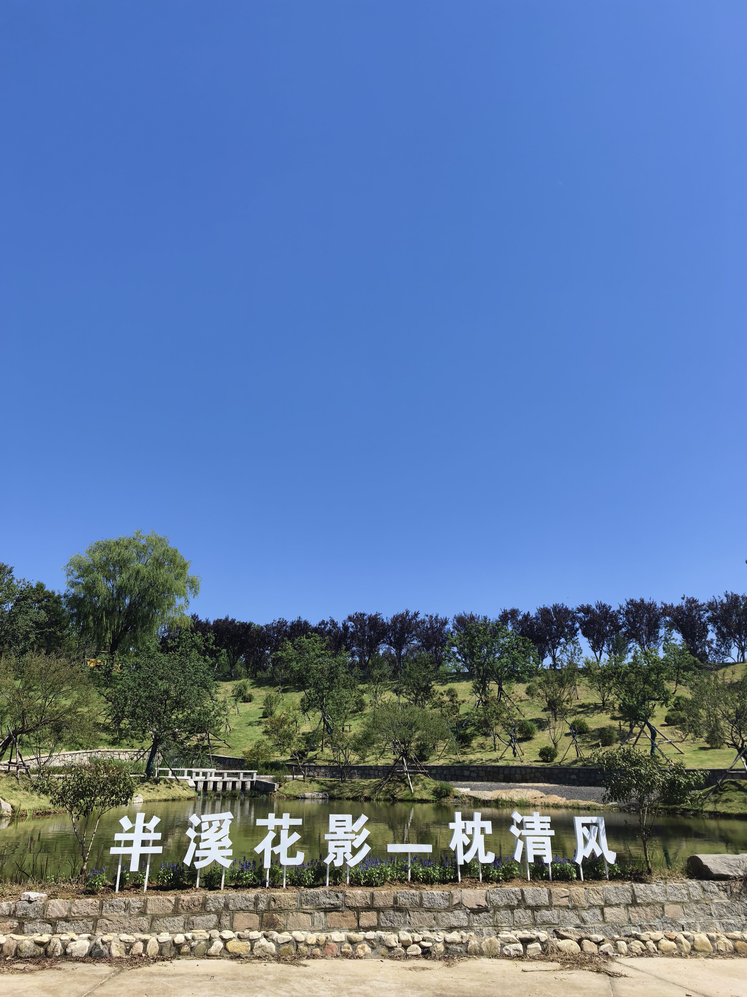 找搭子