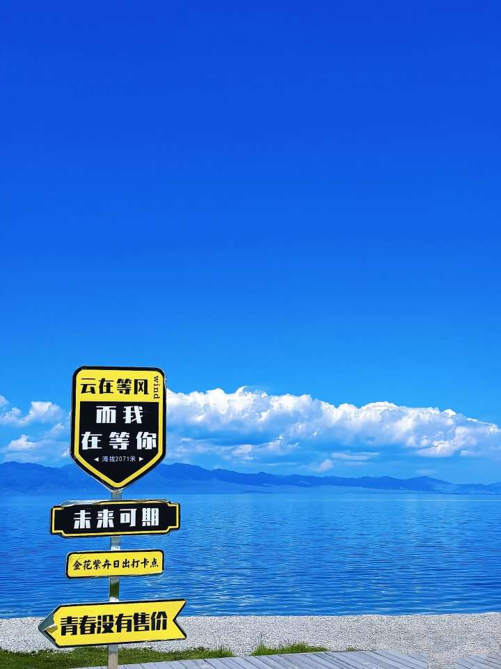 找搭子