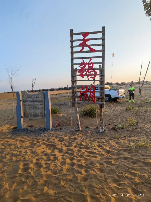 找搭子