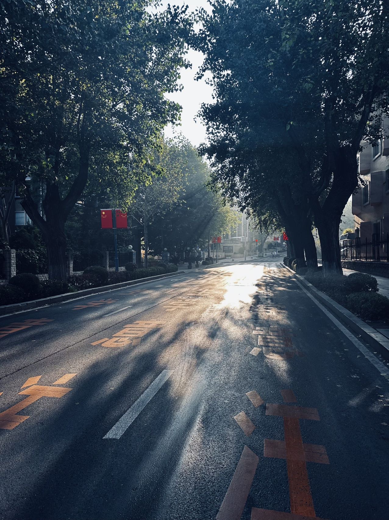 找搭子