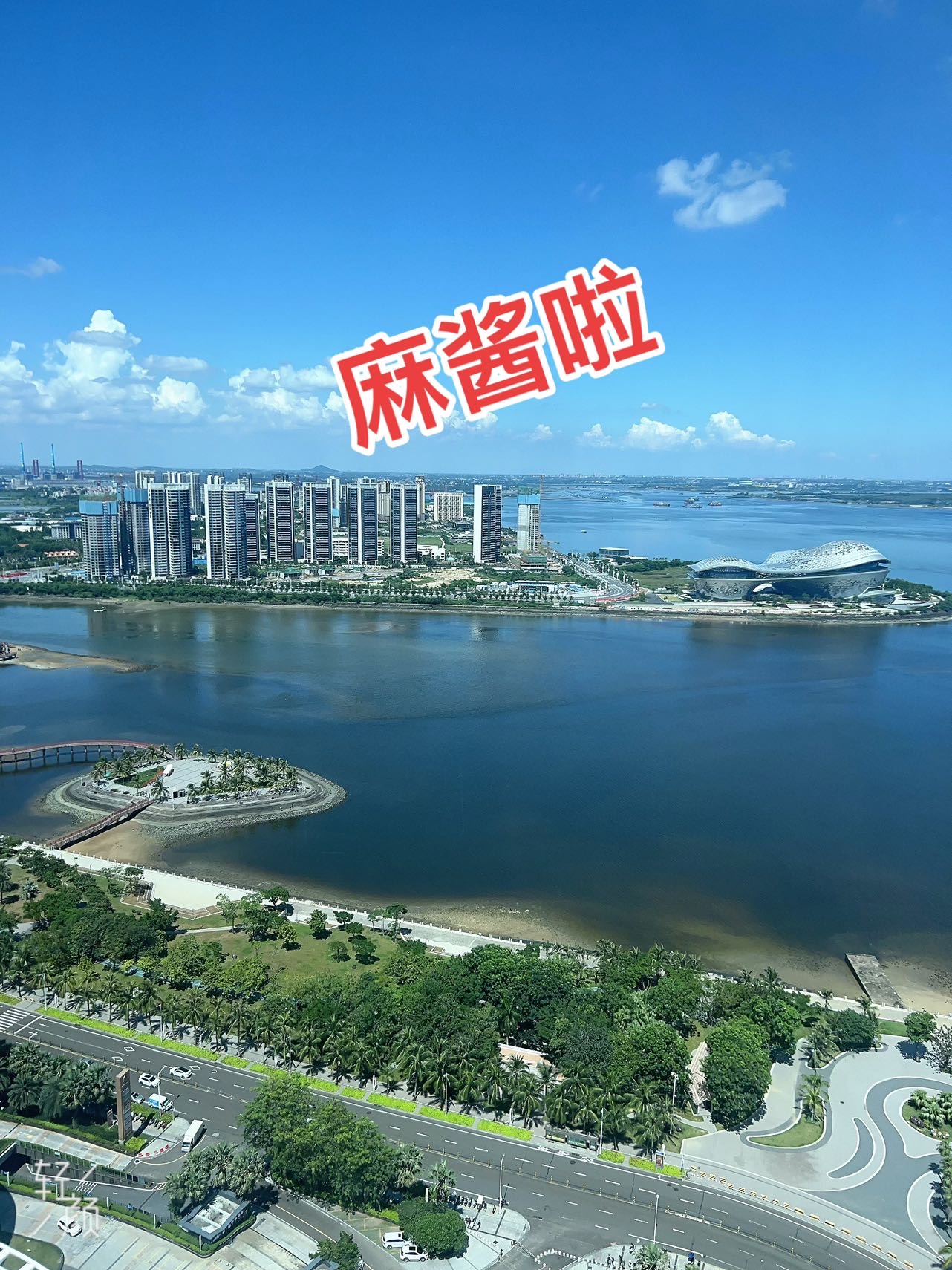 找搭子