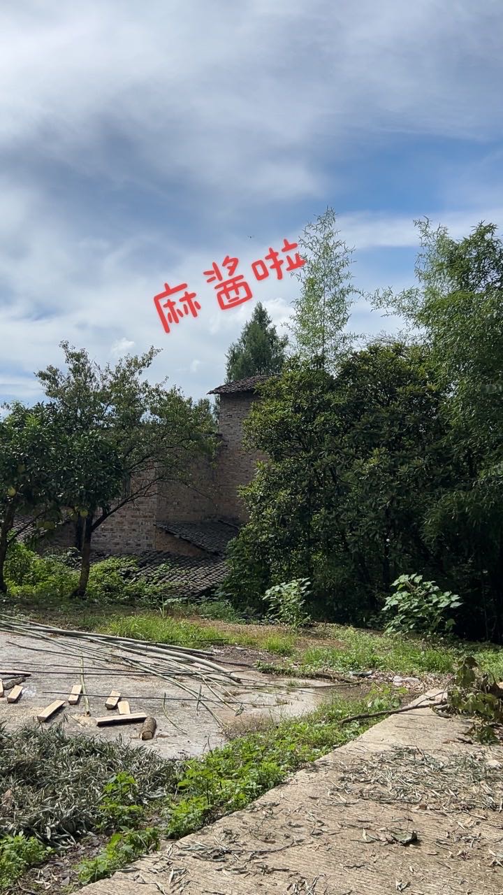找搭子