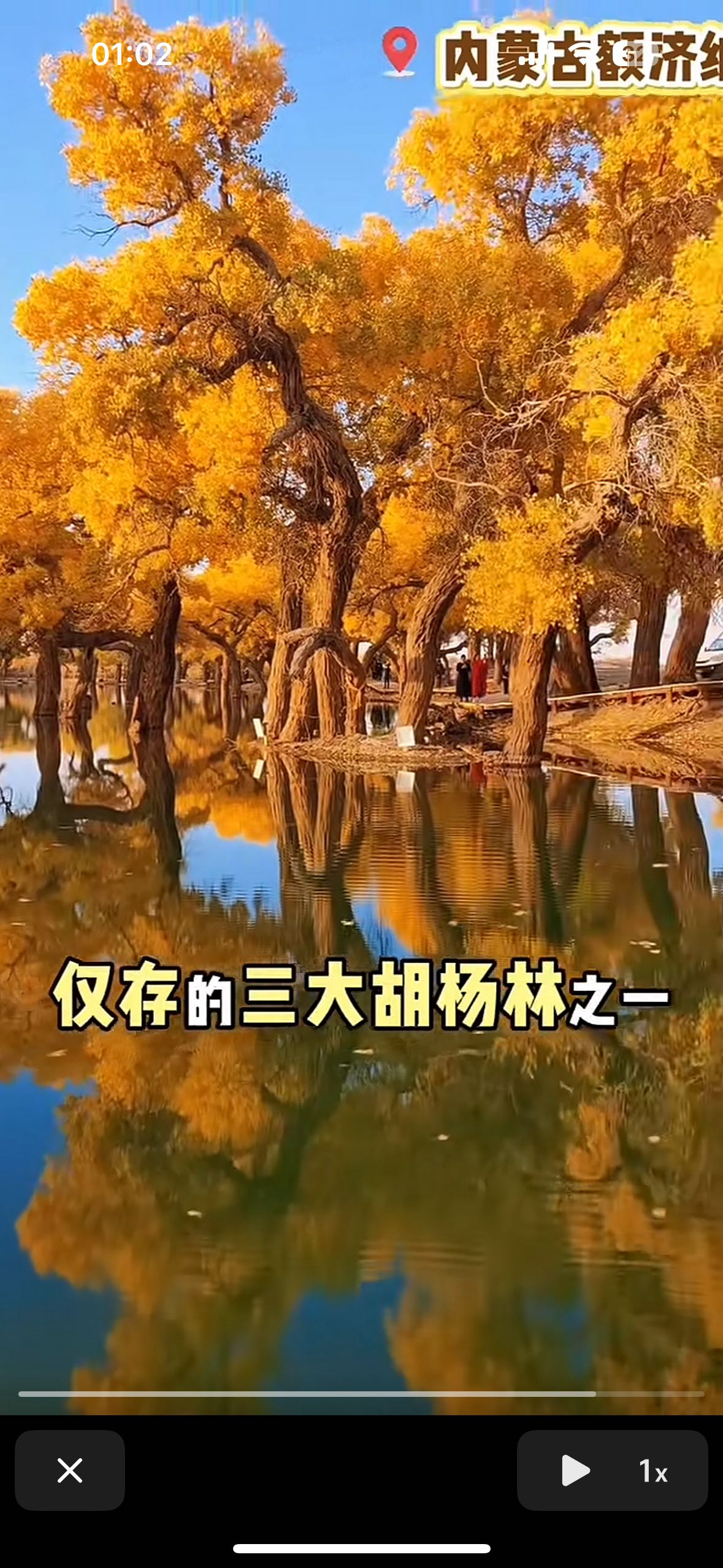 找搭子
