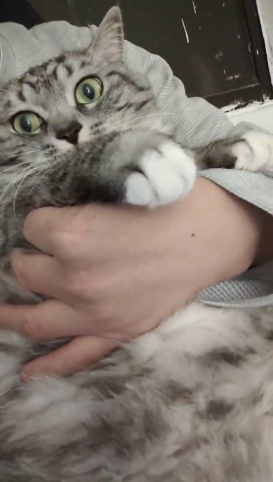 咕哇找搭子