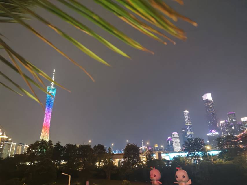 找搭子