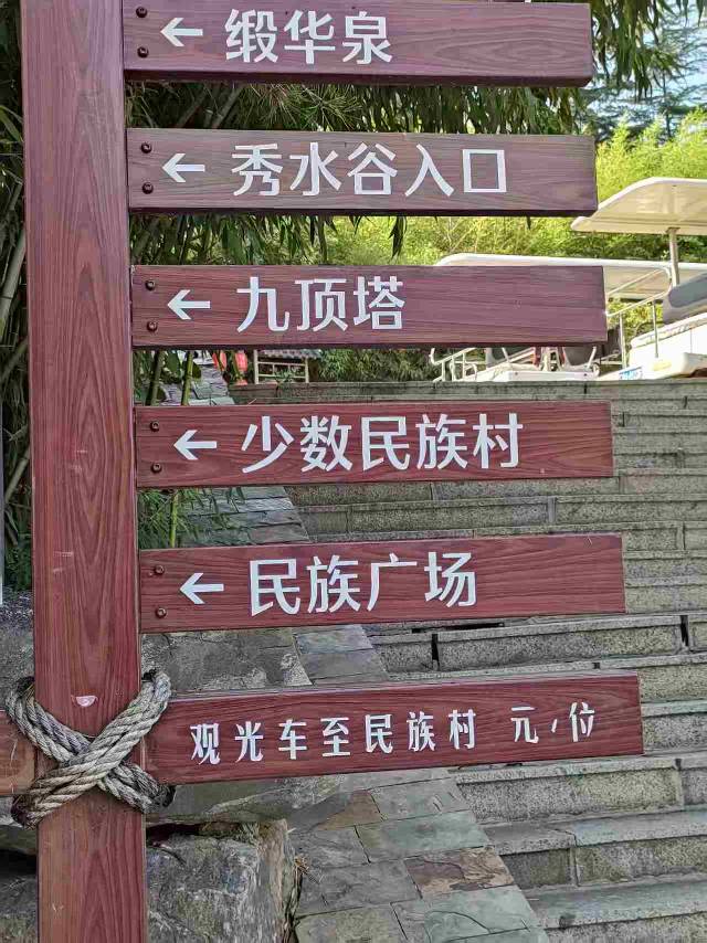 找搭子