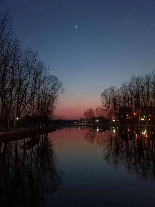 找搭子
