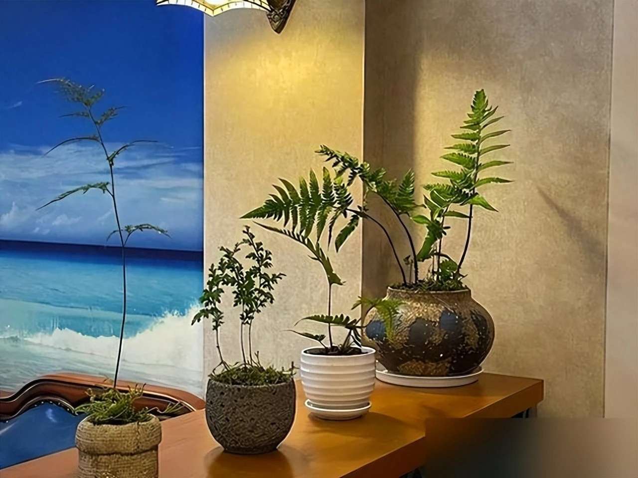 找搭子