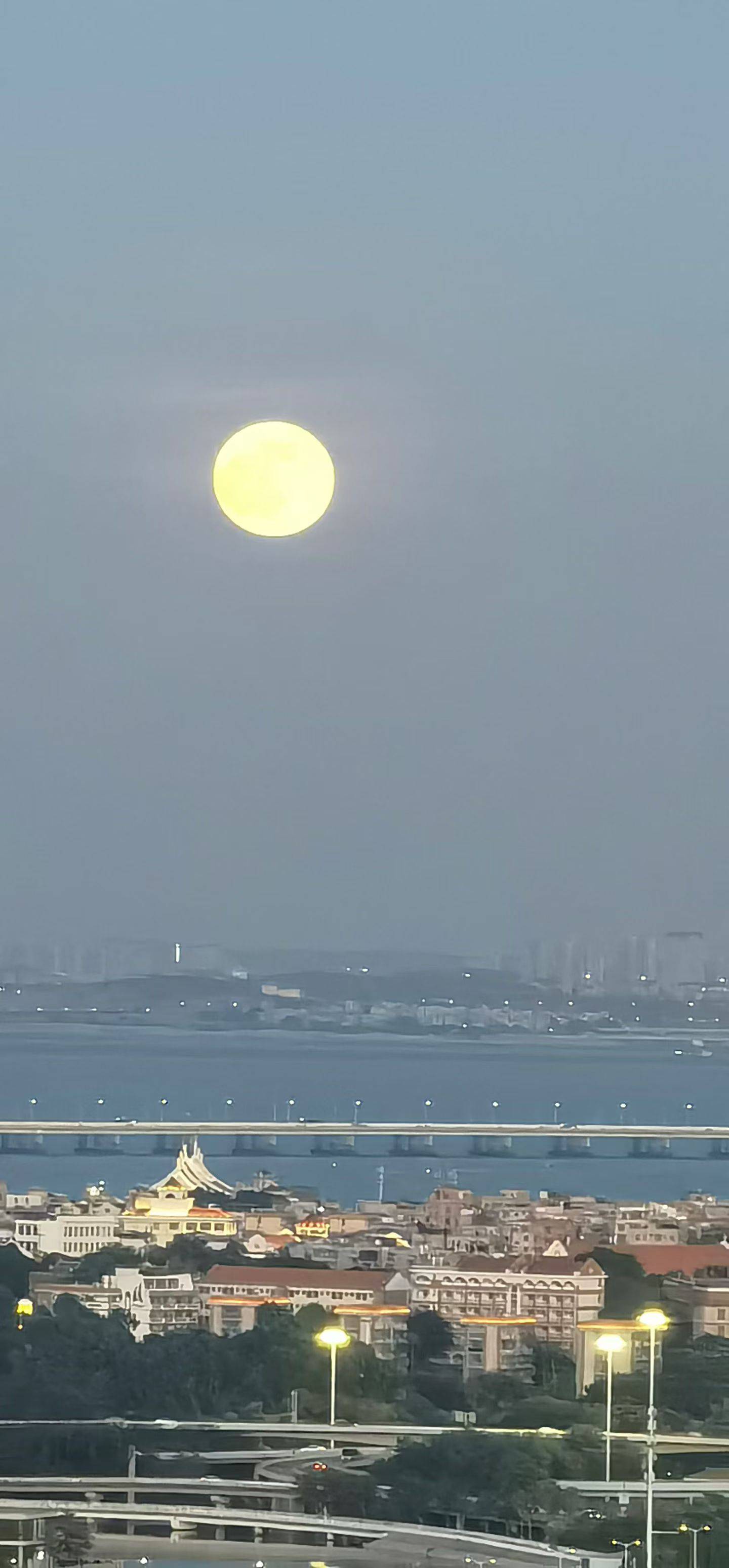 找搭子